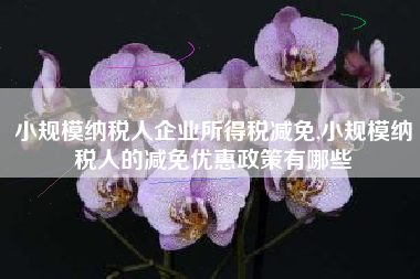 小规模纳税人企业所得税减免,小规模纳税人的减免优惠政策有哪些