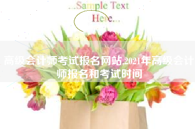 高级会计师考试报名网站,2021年高级会计师报名和考试时间
