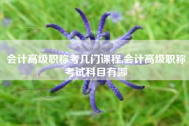 会计高级职称考几门课程,会计高级职称考试科目有哪