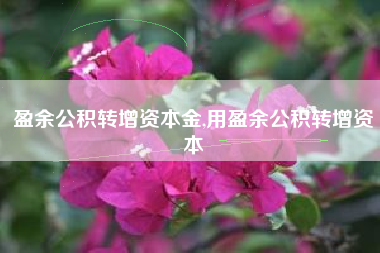 盈余公积转增资本金,用盈余公积转增资本