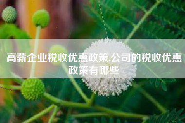 高薪企业税收优惠政策,公司的税收优惠政策有哪些