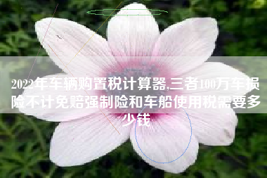 2022年车辆购置税计算器,三者100万车损险不计免赔强制险和车船使用税需要多少钱