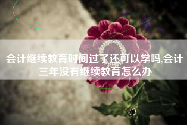 会计继续教育时间过了还可以学吗,会计三年没有继续教育怎么办