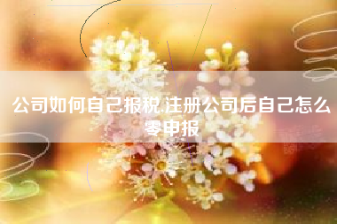 公司如何自己报税,注册公司后自己怎么零申报