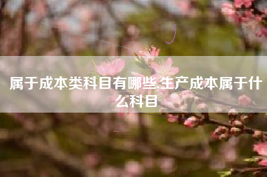 属于成本类科目有哪些,生产成本属于什么科目