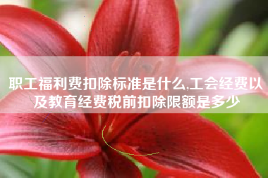 职工福利费扣除标准是什么,工会经费以及教育经费税前扣除限额是多少