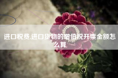 进口税费,进口货物的增值税开票金额怎么算