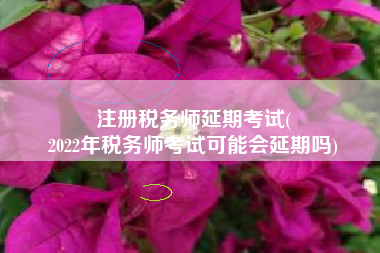 注册税务师延期考试(
2022年税务师考试可能会延期吗)