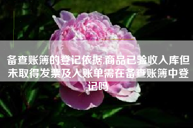 备查账簿的登记依据,商品已验收入库但未取得发票及入账单需在备查账簿中登记吗