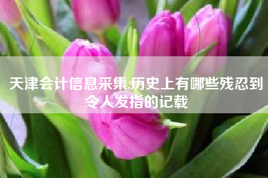 天津会计信息采集,历史上有哪些残忍到令人发指的记载