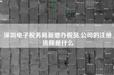 深圳电子税务局新增办税员,公司的注册流程是什么