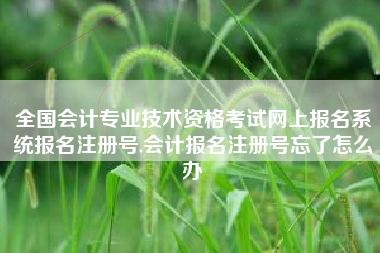 全国会计专业技术资格考试网上报名系统报名注册号,会计报名注册号忘了怎么办