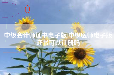 中级会计师证书电子版,中级医师电子版证书可以注册吗