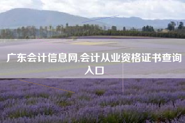 广东会计信息网,会计从业资格证书查询入口