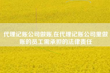 代理记账公司做账,在代理记账公司里做账的员工需承担的法律责任
