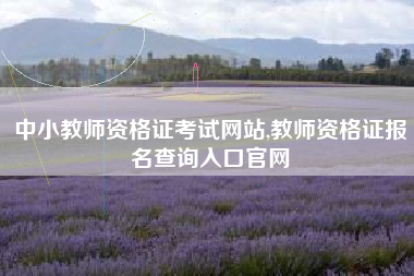中小教师资格证考试网站,教师资格证报名查询入口官网