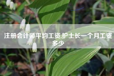 注册会计师平均工资,护士长一个月工资多少