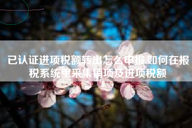 已认证进项税额转出怎么申报,如何在报税系统里采集销项及进项税额