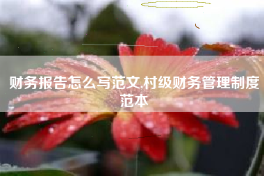 财务报告怎么写范文,村级财务管理制度范本