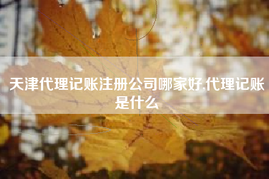 天津代理记账注册公司哪家好,代理记账是什么