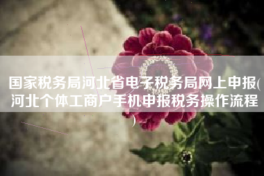 国家税务局河北省电子税务局网上申报(河北个体工商户手机申报税务操作流程
)