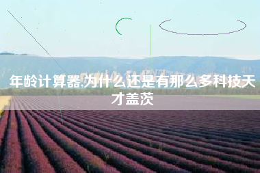 年龄计算器,为什么还是有那么多科技天才盖茨