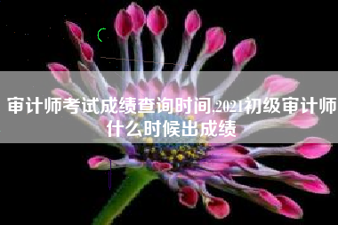 审计师考试成绩查询时间,2021初级审计师什么时候出成绩