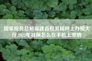国家税务总局福建省税务局网上办税大厅,2022年社保怎么在手机上缴纳