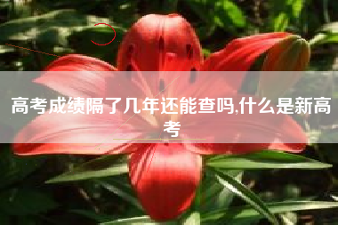 高考成绩隔了几年还能查吗,什么是新高考