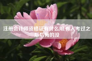 注册会计师资格证有什么用,有人考过之后后悔的没