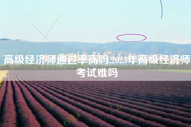 高级经济师通过率高吗,2023年高级经济师考试难吗