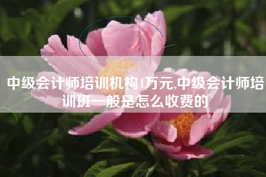 中级会计师培训机构4万元,中级会计师培训班一般是怎么收费的