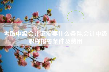 考取中级会计证需要什么条件,会计中级职称报考条件及费用