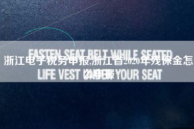 浙江电子税务申报,浙江省2020年残保金怎么申报