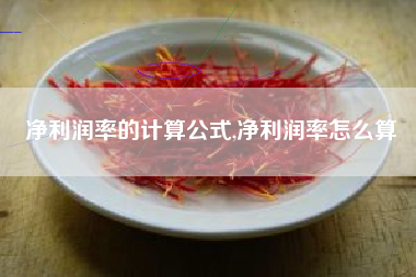 净利润率的计算公式,净利润率怎么算