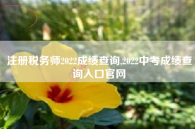 注册税务师2022成绩查询,2022中考成绩查询入口官网