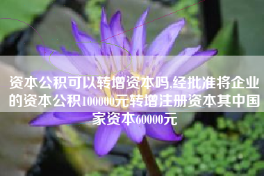 资本公积可以转增资本吗,经批准将企业的资本公积100000元转增注册资本其中国家资本60000元