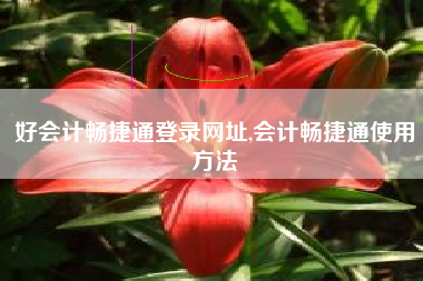 好会计畅捷通登录网址,会计畅捷通使用方法