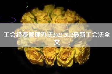 工会经费管理办法2022,2022最新工会法全文