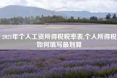 2021年个人工资所得税税率表,个人所得税如何填写最划算