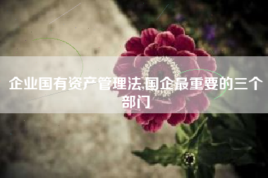 企业国有资产管理法,国企最重要的三个部门