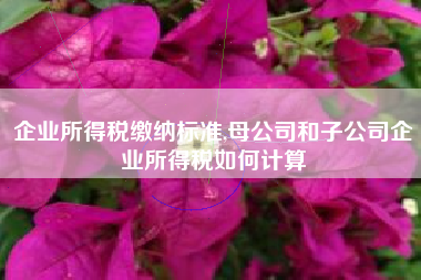 企业所得税缴纳标准,母公司和子公司企业所得税如何计算