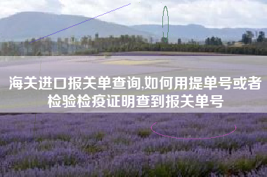海关进口报关单查询,如何用提单号或者检验检疫证明查到报关单号