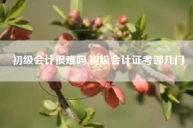 初级会计很难吗,初级会计证考哪几门
