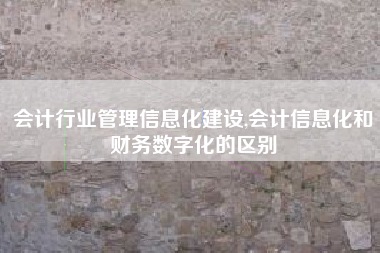 会计行业管理信息化建设,会计信息化和财务数字化的区别