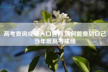 高考查询成绩入口官网,如何能查到自己当年度高考成绩