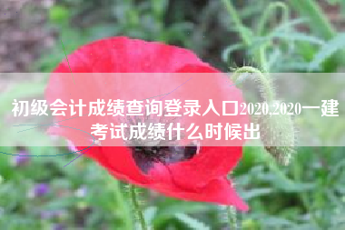 初级会计成绩查询登录入口2020,2020一建考试成绩什么时候出