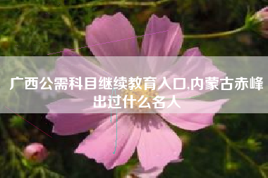广西公需科目继续教育入口,内蒙古赤峰出过什么名人