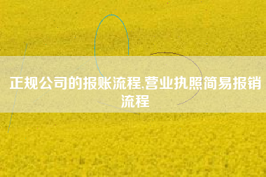 正规公司的报账流程,营业执照简易报销流程