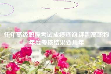 往年高级职称考试成绩查询,评副高职称年度考核结果要几年